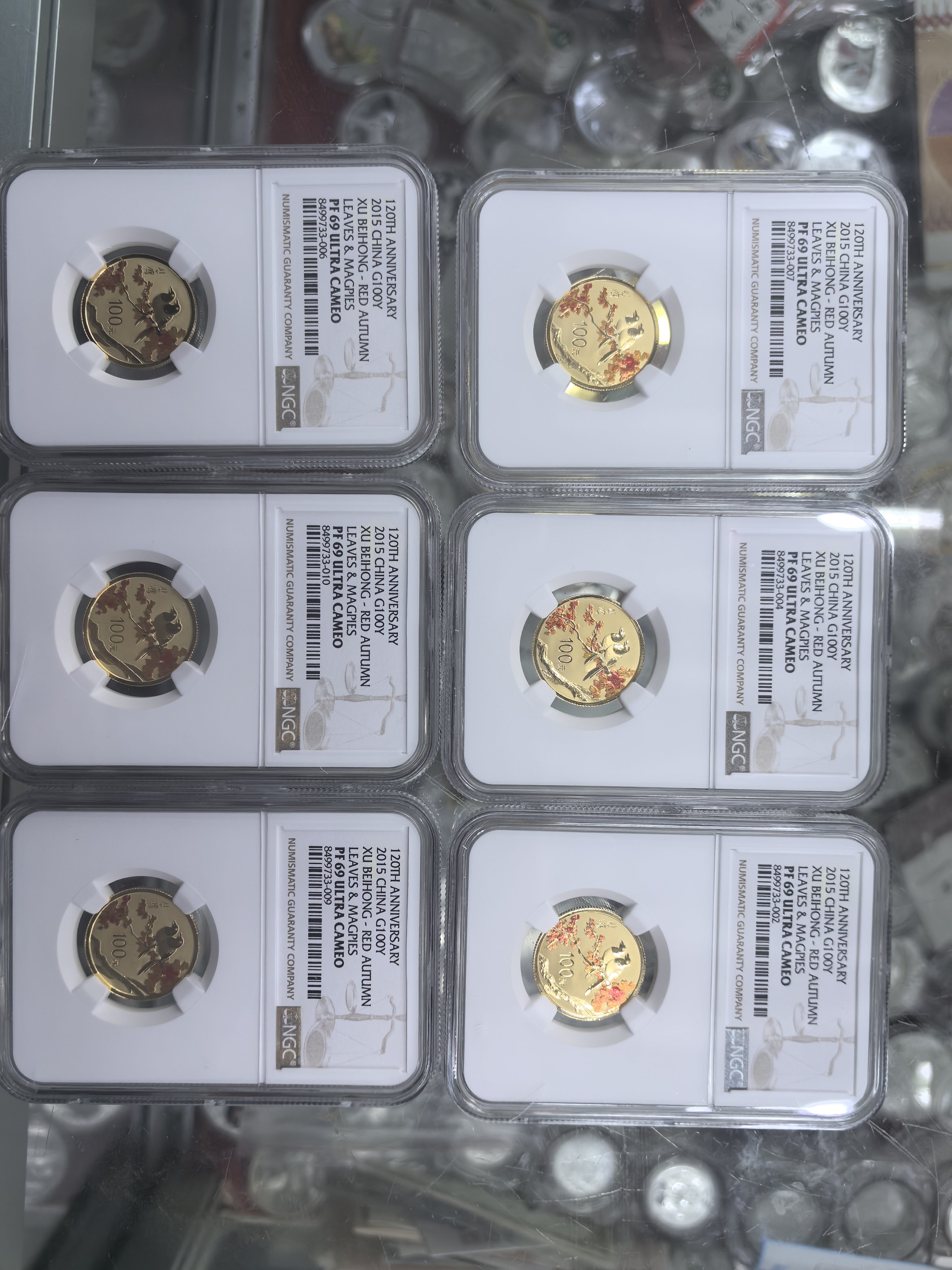 2015年徐画家金币NGC69分