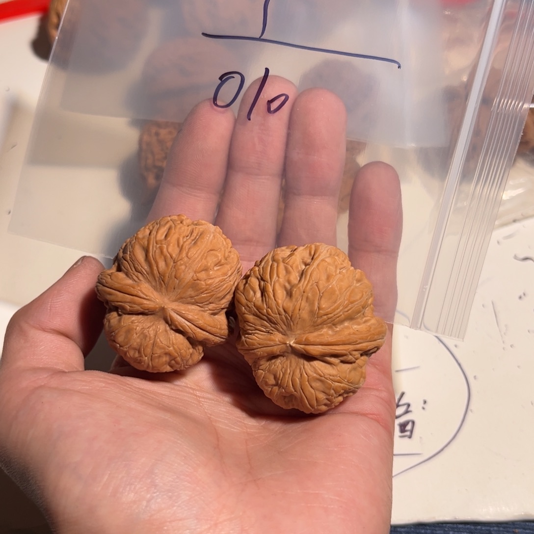 核桃手串/手链010