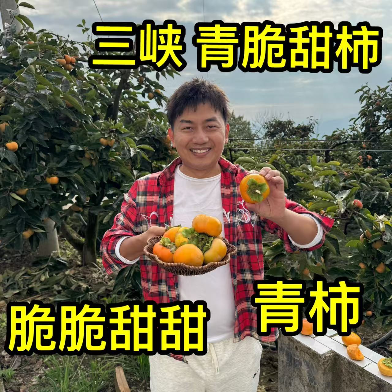 三峡青脆柿巧克力脆柿子现摘现发脆甜应季新鲜水果