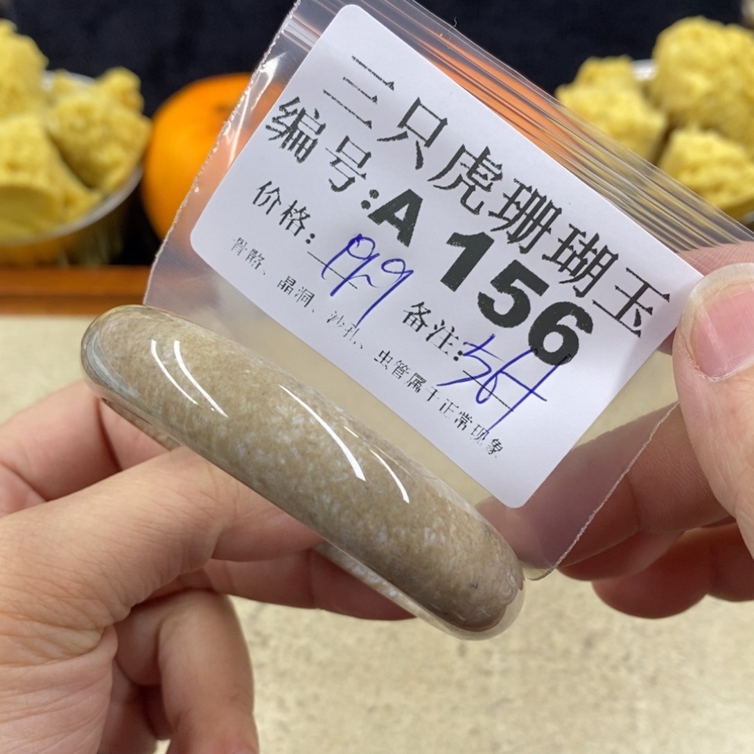 硅化珊瑚（珊瑚玉）1未镶嵌咿*6