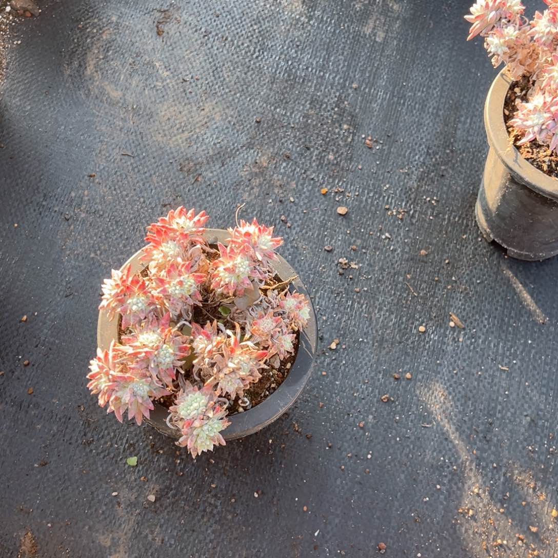 0676哈哈哈哈哈哈哈哈