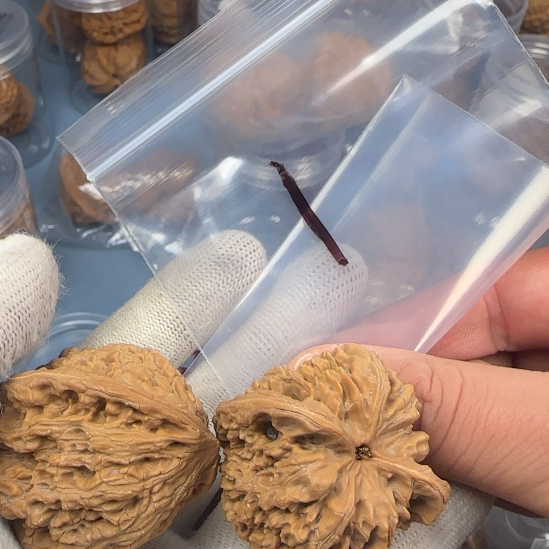 文玩核桃吊坠核桃