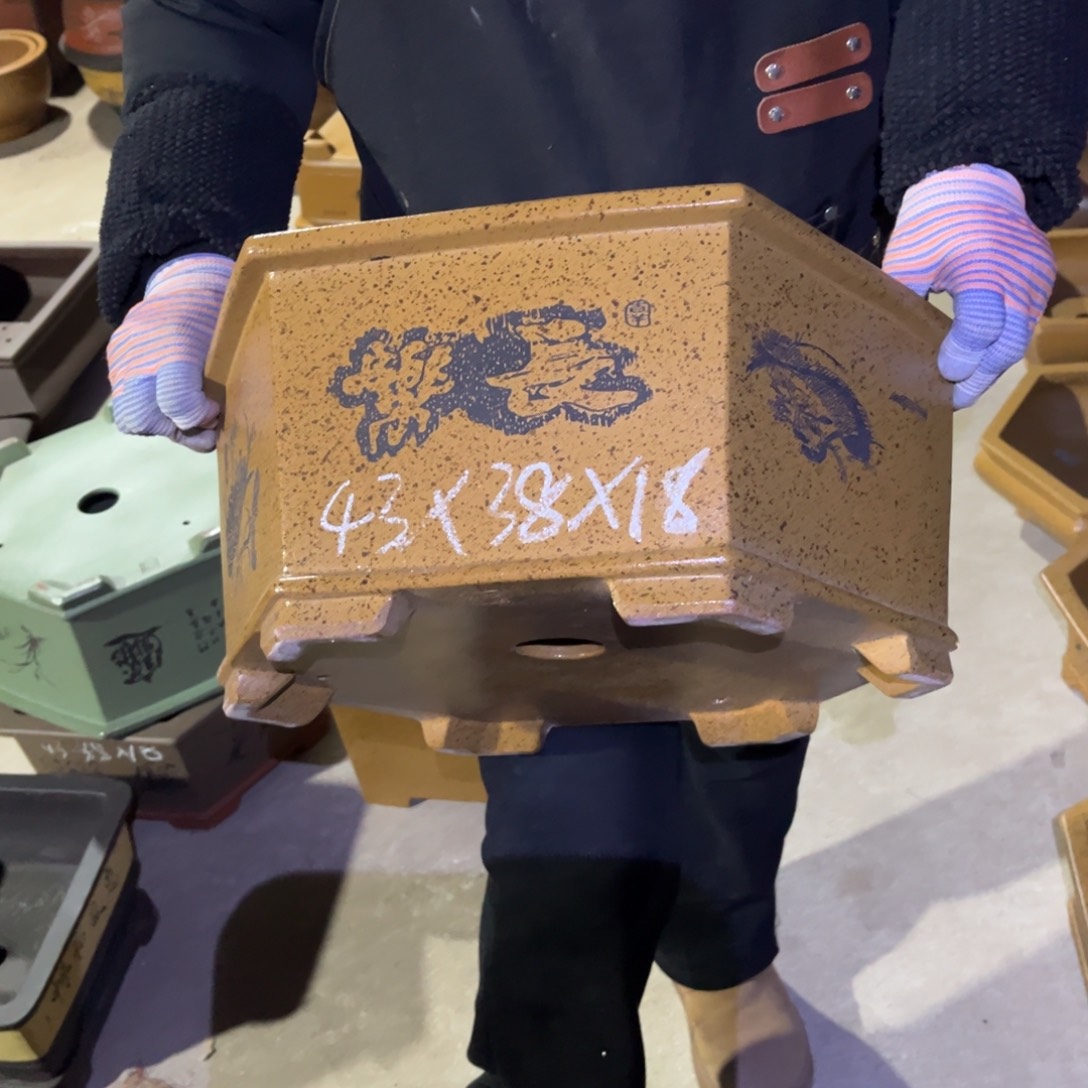 紫砂花盆盆景艺术