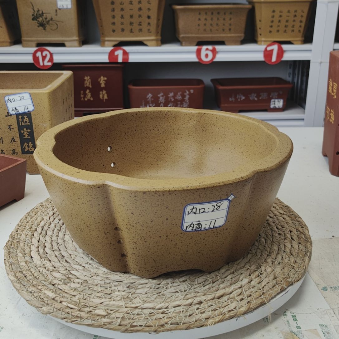 紫砂花盆前面那个