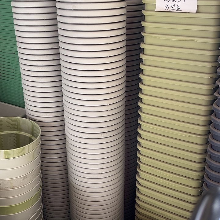 瑕疵四季盆4号灰白色发12个