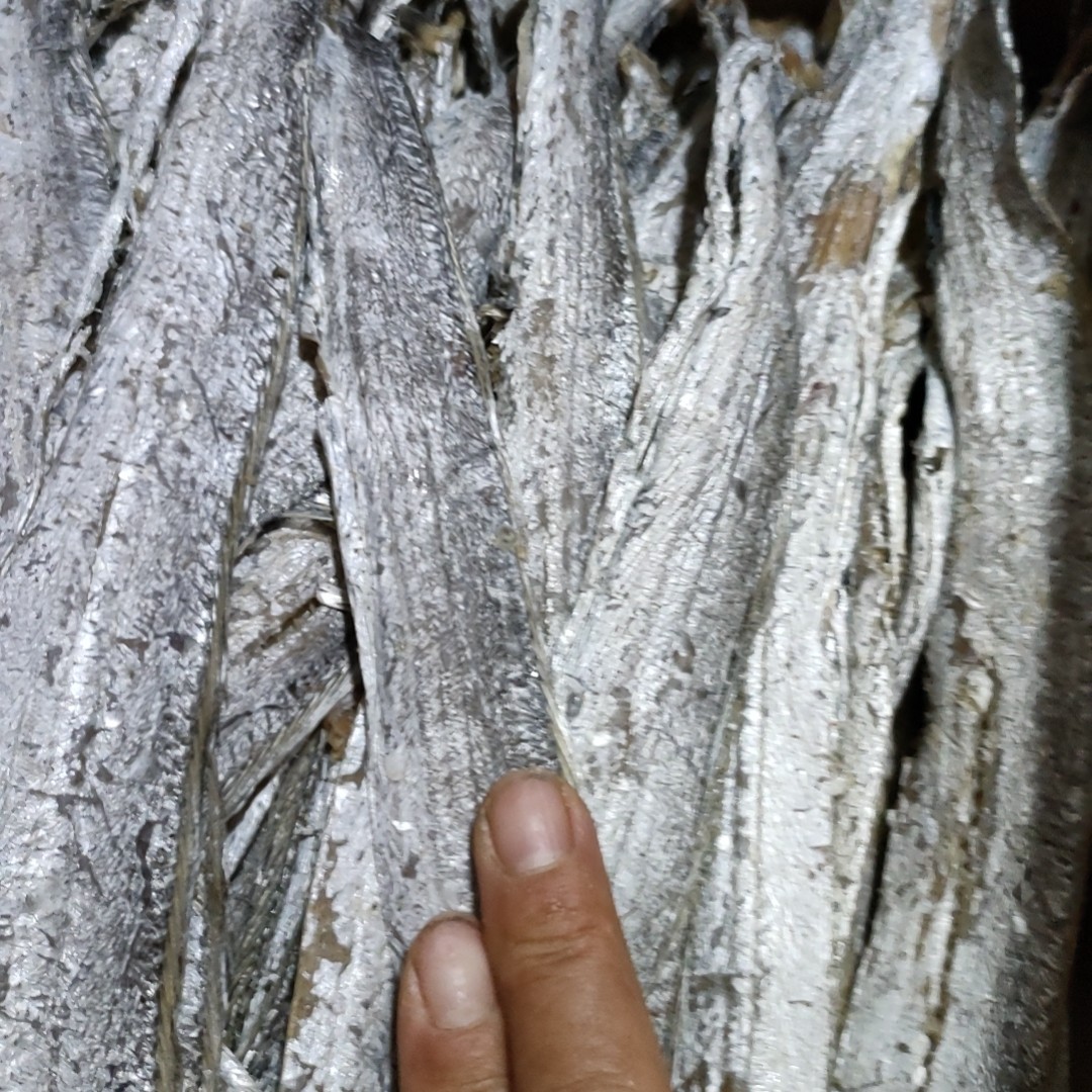 海里野生的自己加工的不添加剂的纯天然的小黄鳞带鱼干