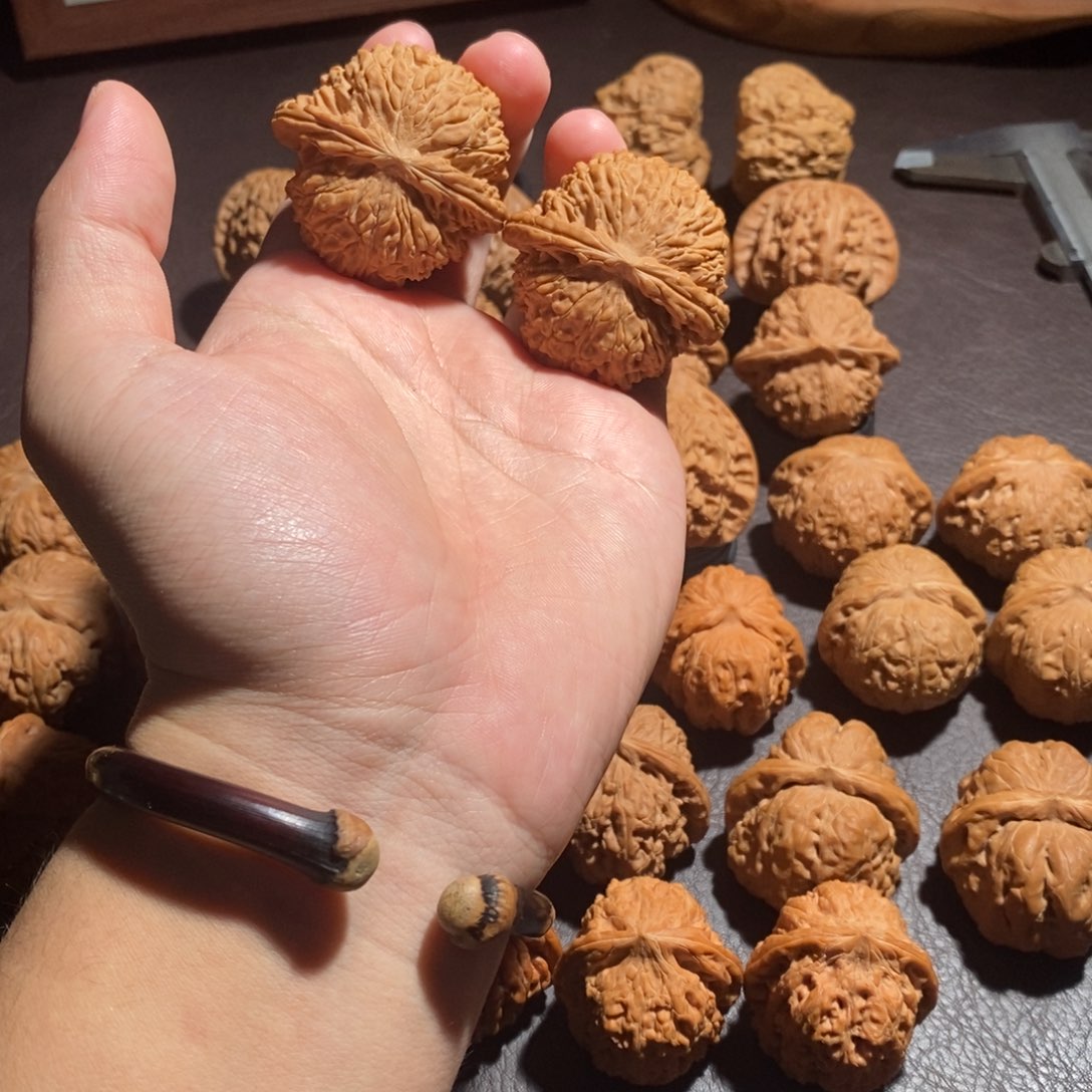 把件文玩核桃44全品白狮子