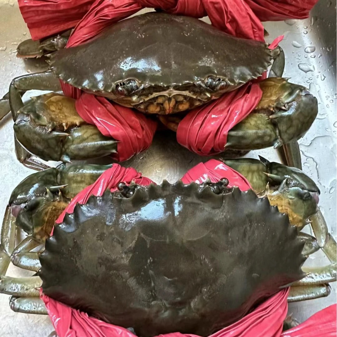 鲜活包有膏 红膏蟹【直播间现称链接】