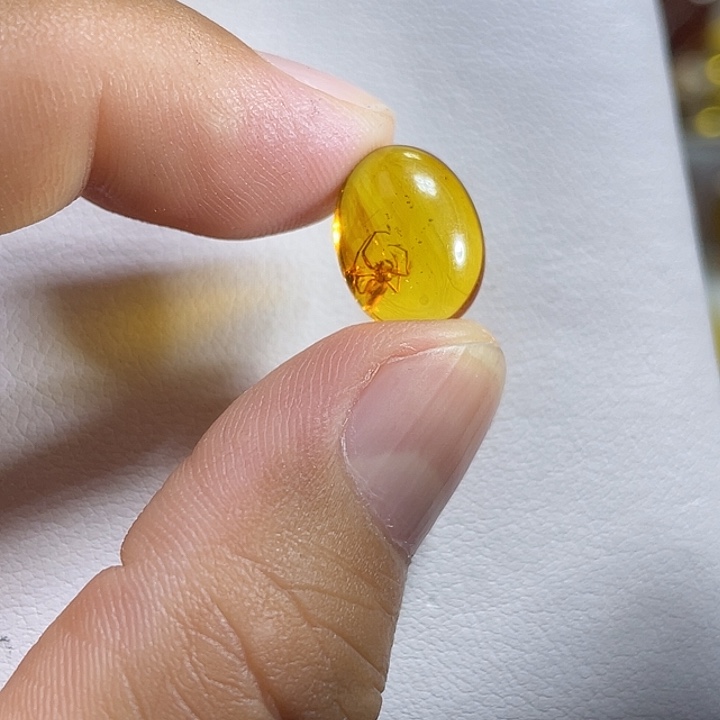 裸石琥珀未镶嵌蜘蛛戒面
