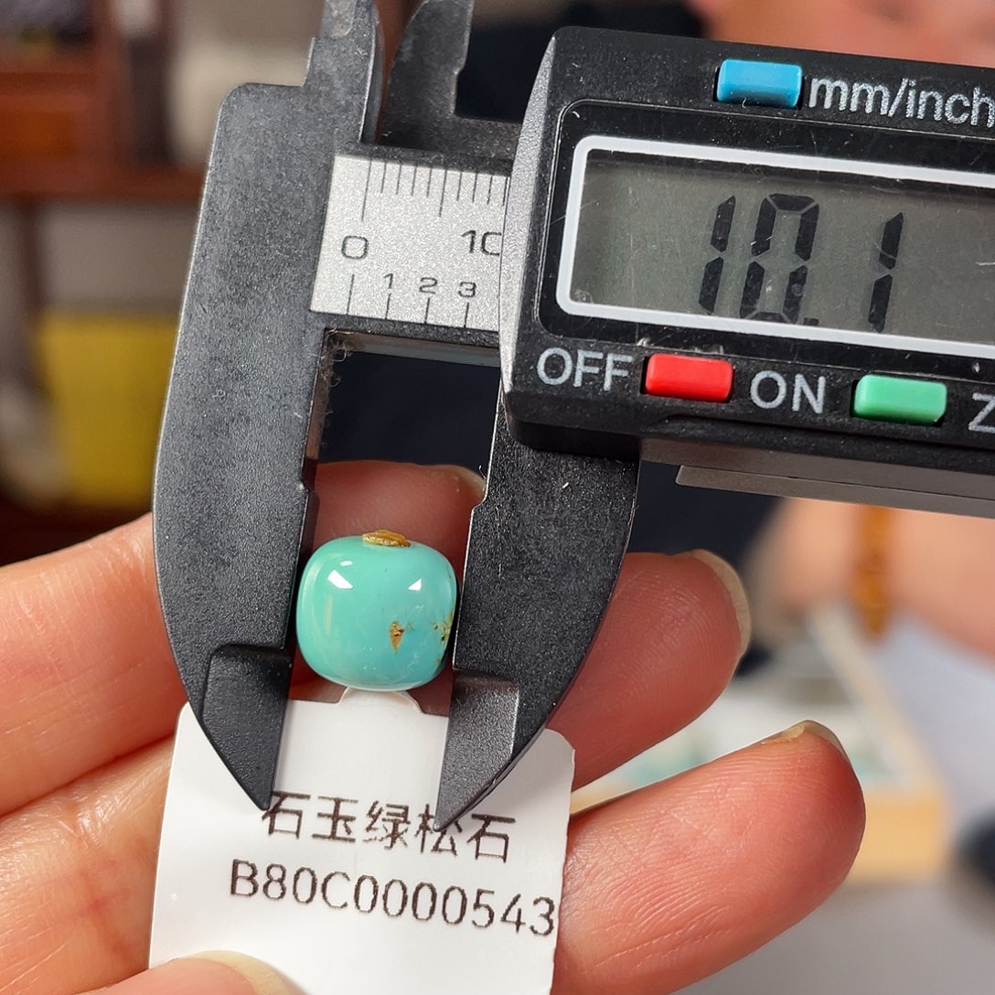 绿松石颈饰未镶嵌