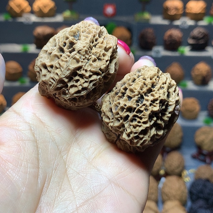 文玩核桃吊坠43尺九龙蟾5号