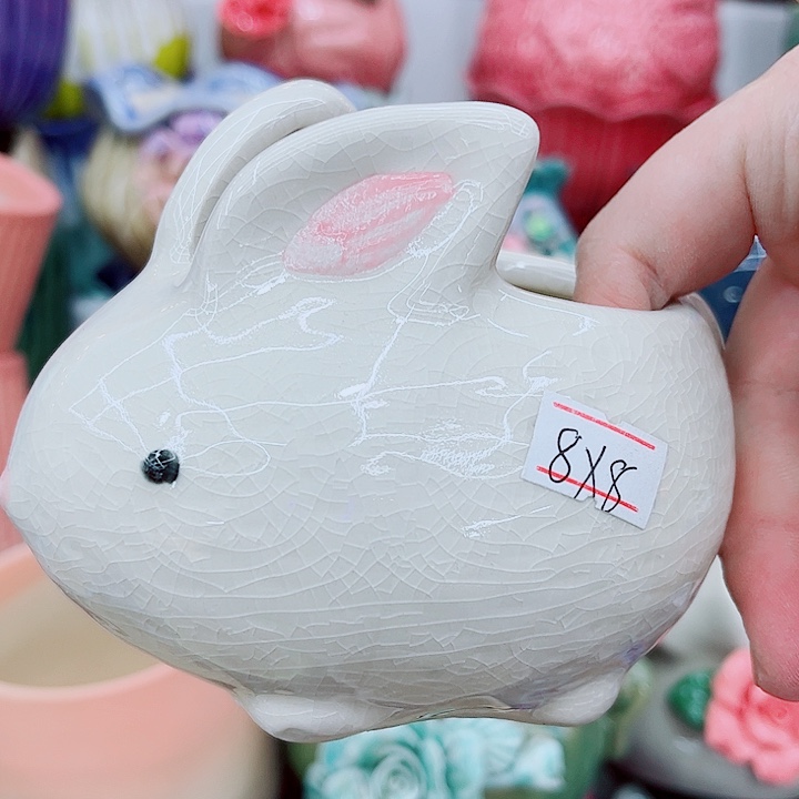 多肉植物陶瓷花盆