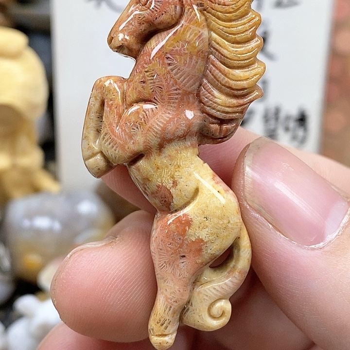 颈饰未镶嵌硅化珊瑚（珊瑚玉）