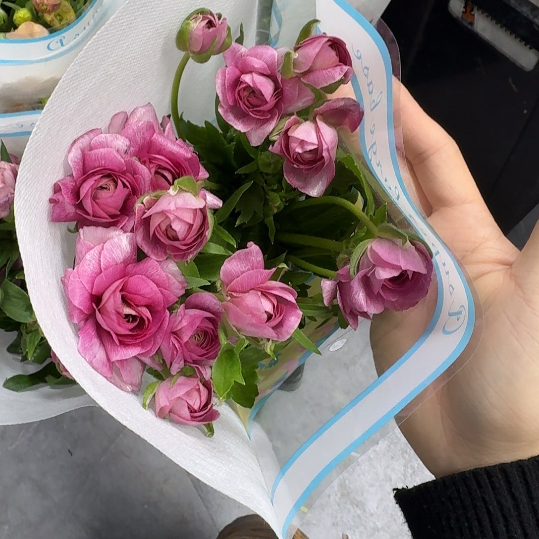 完全开放朱庇特5支！任选三件顺丰空运包邮