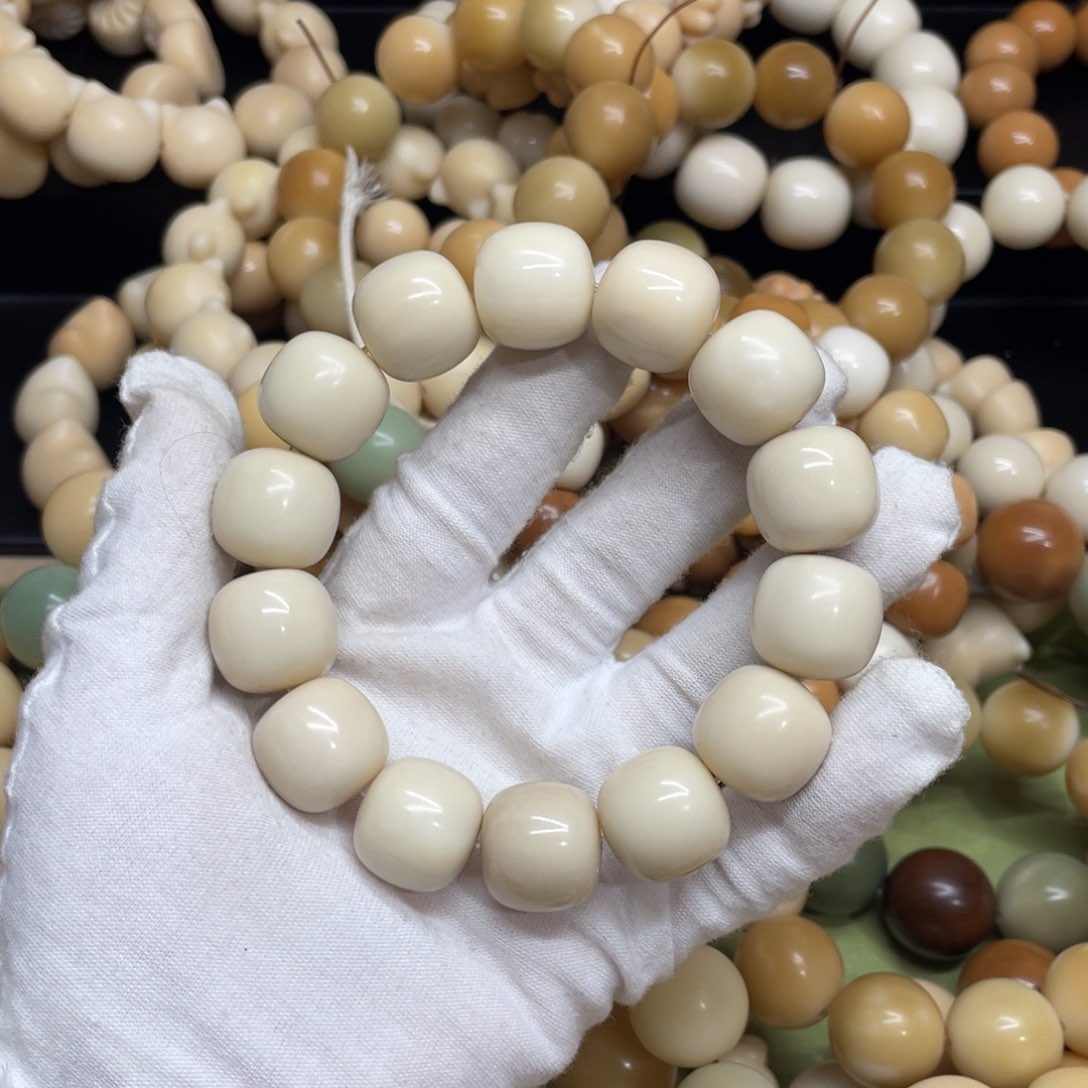 菩提根/象牙果吊坠18干磨牙果桶883