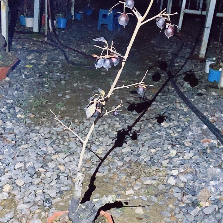 一***休完全开放给哈哈哈哈哈