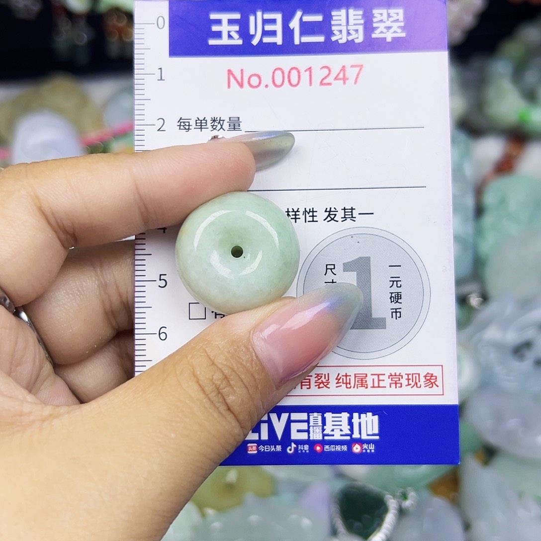翡翠未镶嵌颈饰11