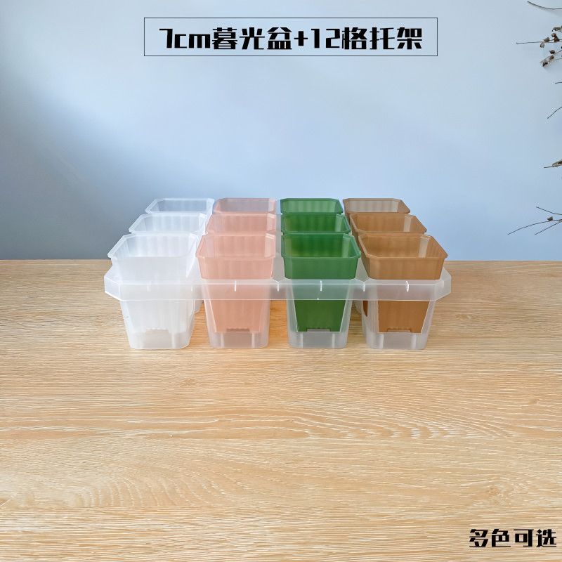 暮光盆6孔12孔托架彩色盆半透明加厚多肉植物创意育苗播种基座