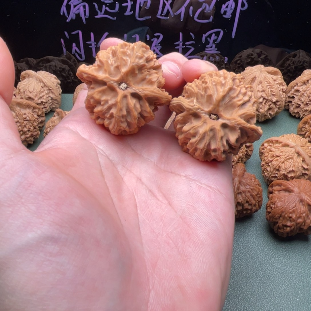 童***镇核桃把件41全品苹果园