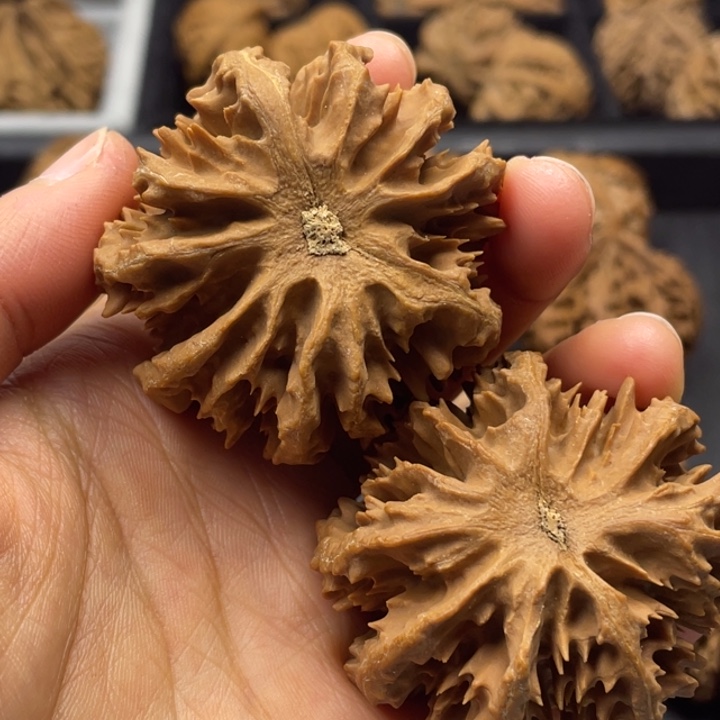 文玩核桃吊坠突突突突突