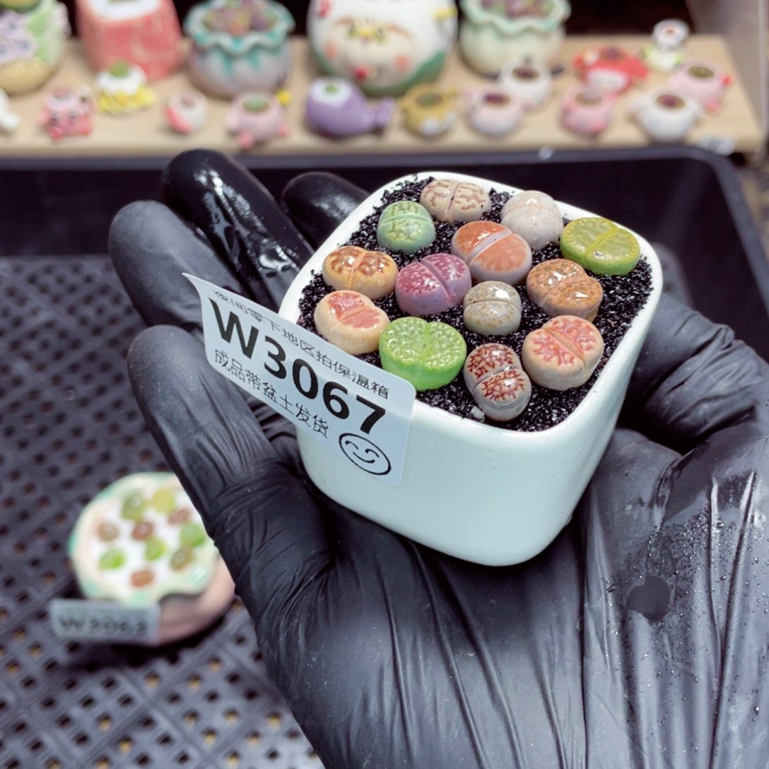 夜间零下地区拍保温箱w3067