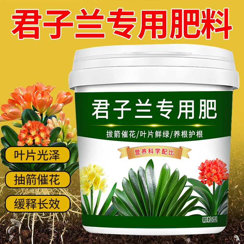 君子兰专用肥料促花催花生根花卉绿植爆盆大叶片茁壮颗粒缓释肥料