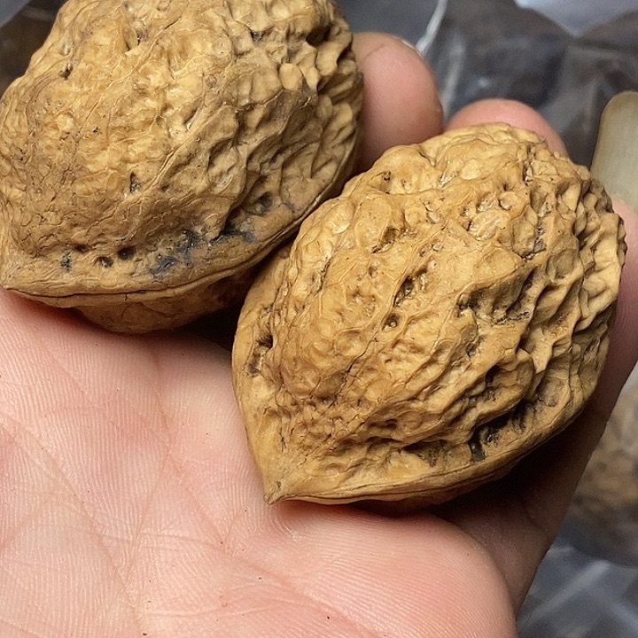 文玩核桃把件志成云铁文玩40