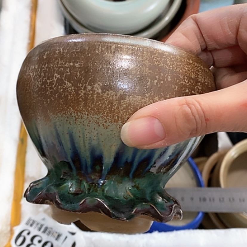 【闪购商品】红陶口10