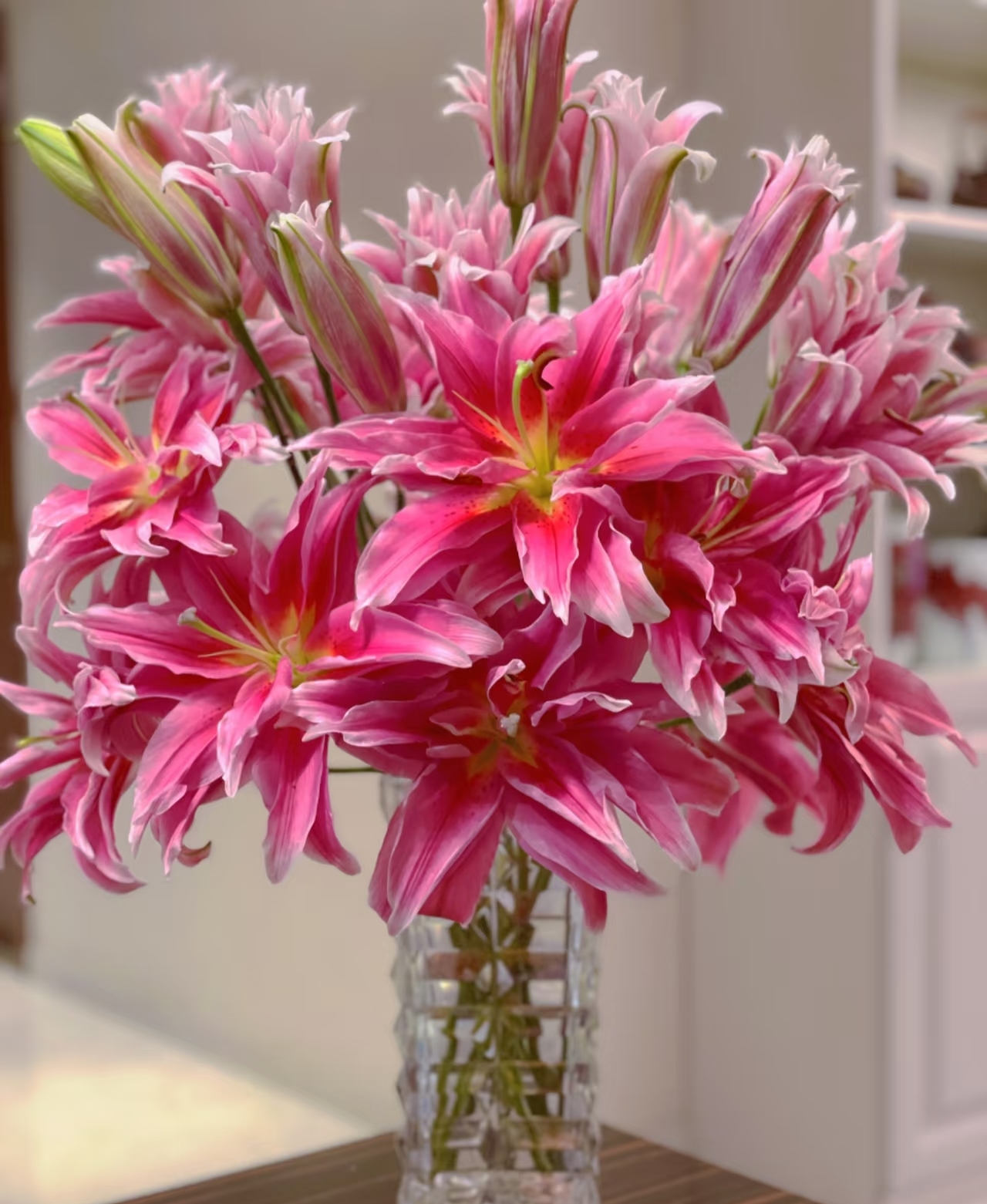 【艾琳娜】重瓣百合鲜花一单包邮