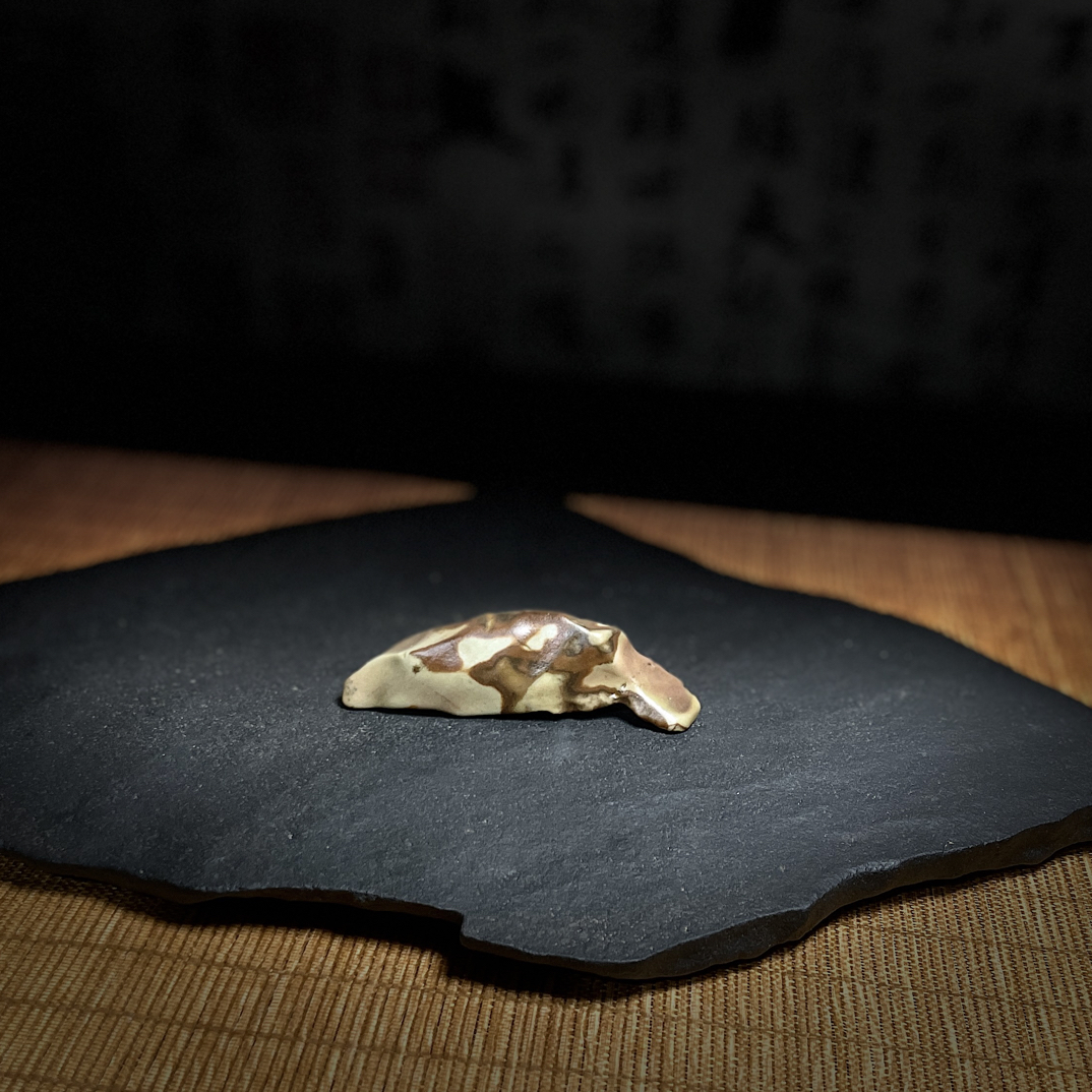 新疆奇石 泥石 孤品老料  双面鱼 鱼跃龙门 蟾宫折桂