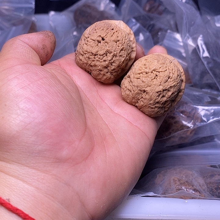 文玩核桃把件   245