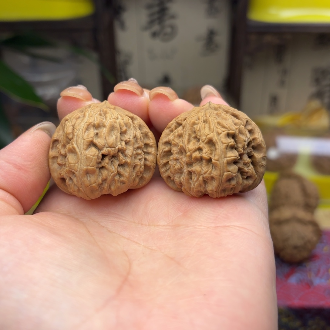 白狮子头三十五尺