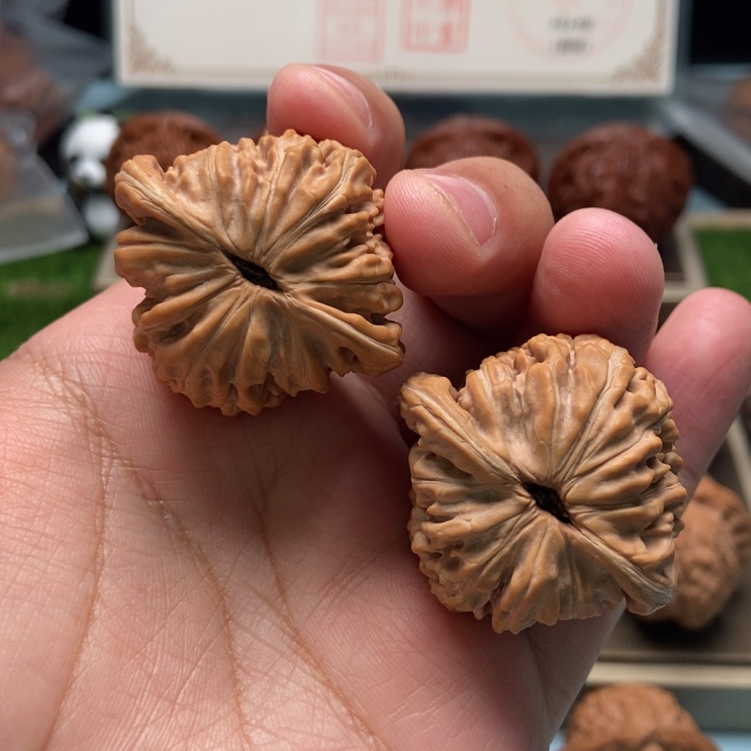 核桃手串/手链6*汉高楼喜欢好评