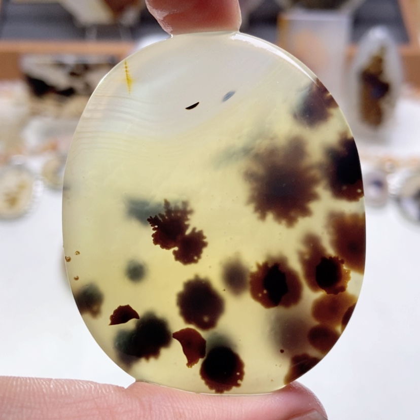 【闪购商品】玛瑙/玉髓颈饰未镶嵌