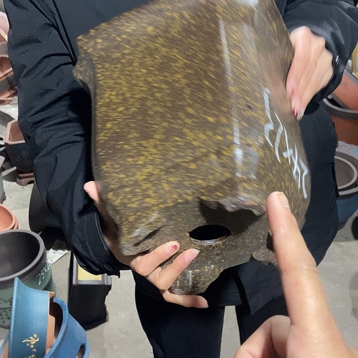 23花盆花盆花盆花盆花盆花盆花盆