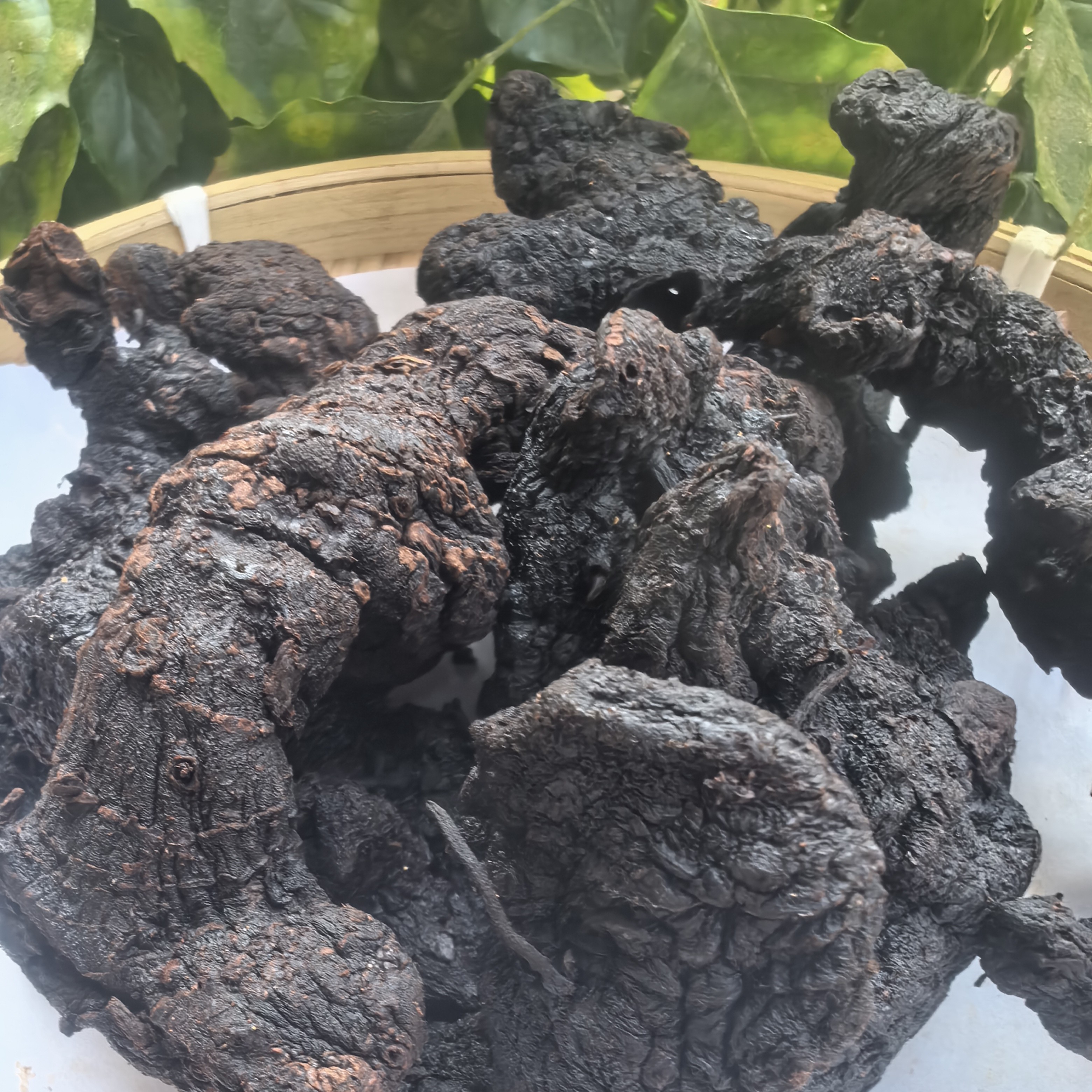 【阿海精选】土特产九蒸九晒老黄巾