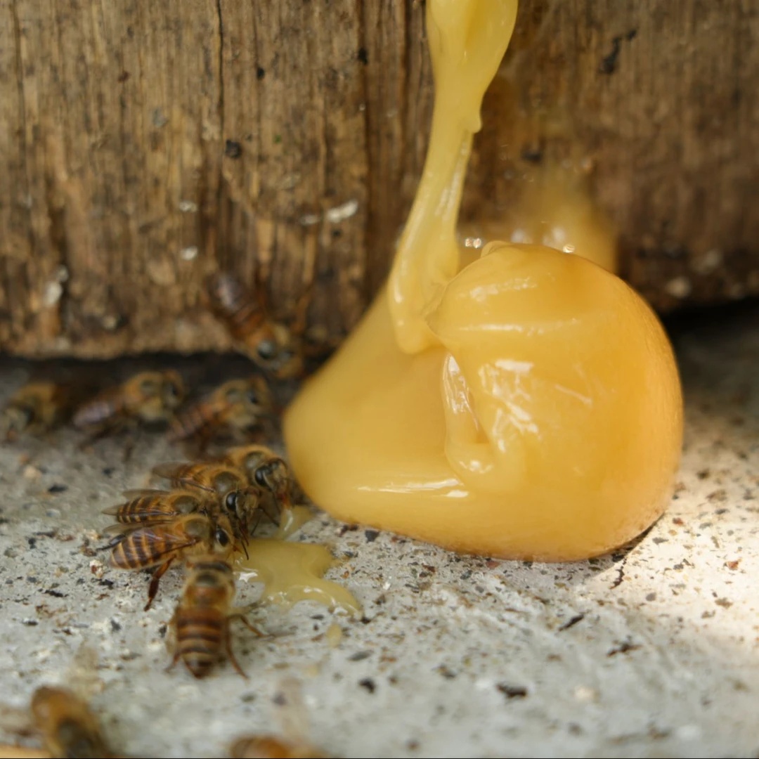 9乡村老式木桶结晶农家土蜂蜜纯正野生百花蜜