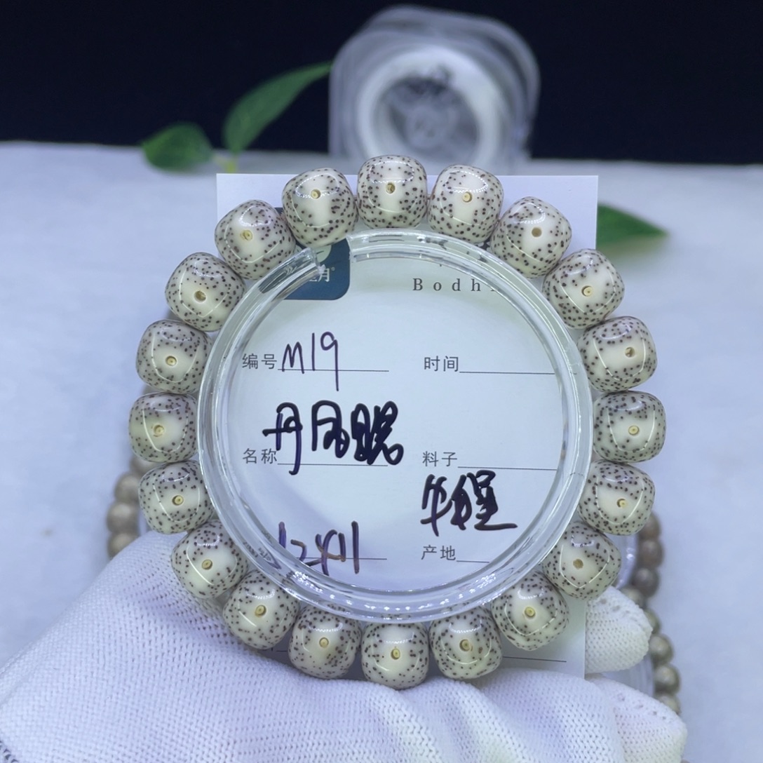 吊坠星月菩提M 凤眼