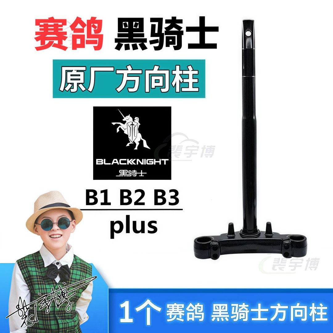 【1个】赛-鸽/黑·骑·士系列电动车前叉、方向柱