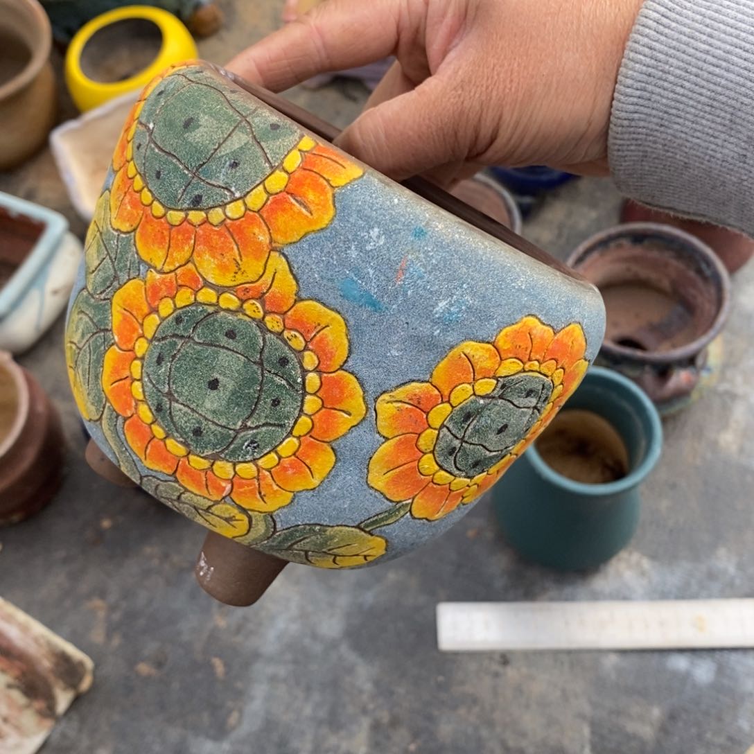 红陶从**始27号多肉盆一个呀