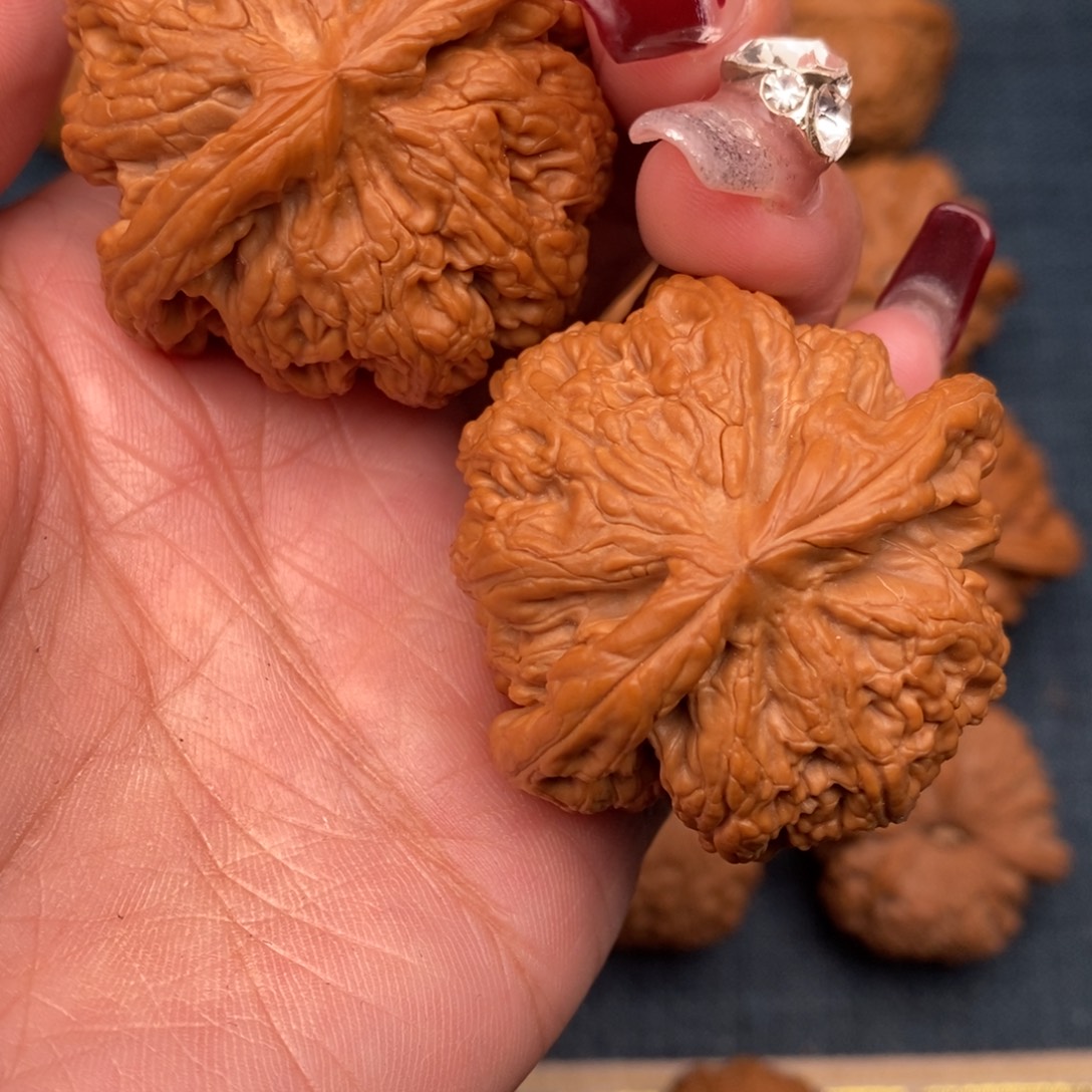 把件文玩核桃44全品大粗筋。