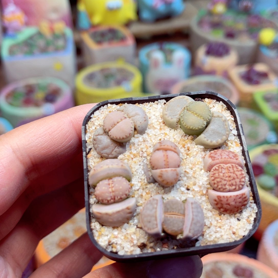 150。888888888888888888