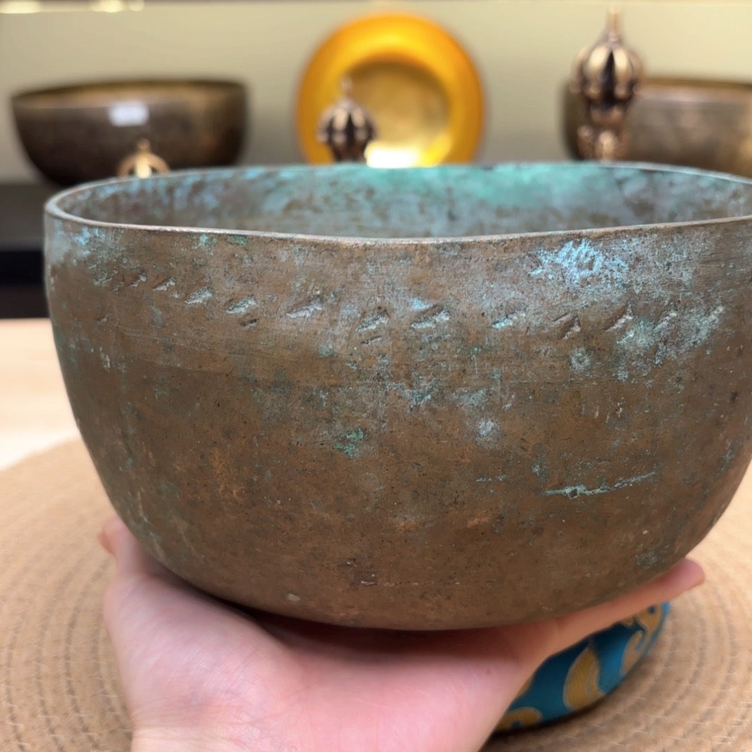 芥*颂钵1111111111111