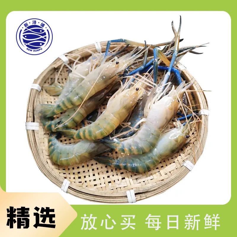 【大号】鲜活大头虾/罗氏虾/500g±50g