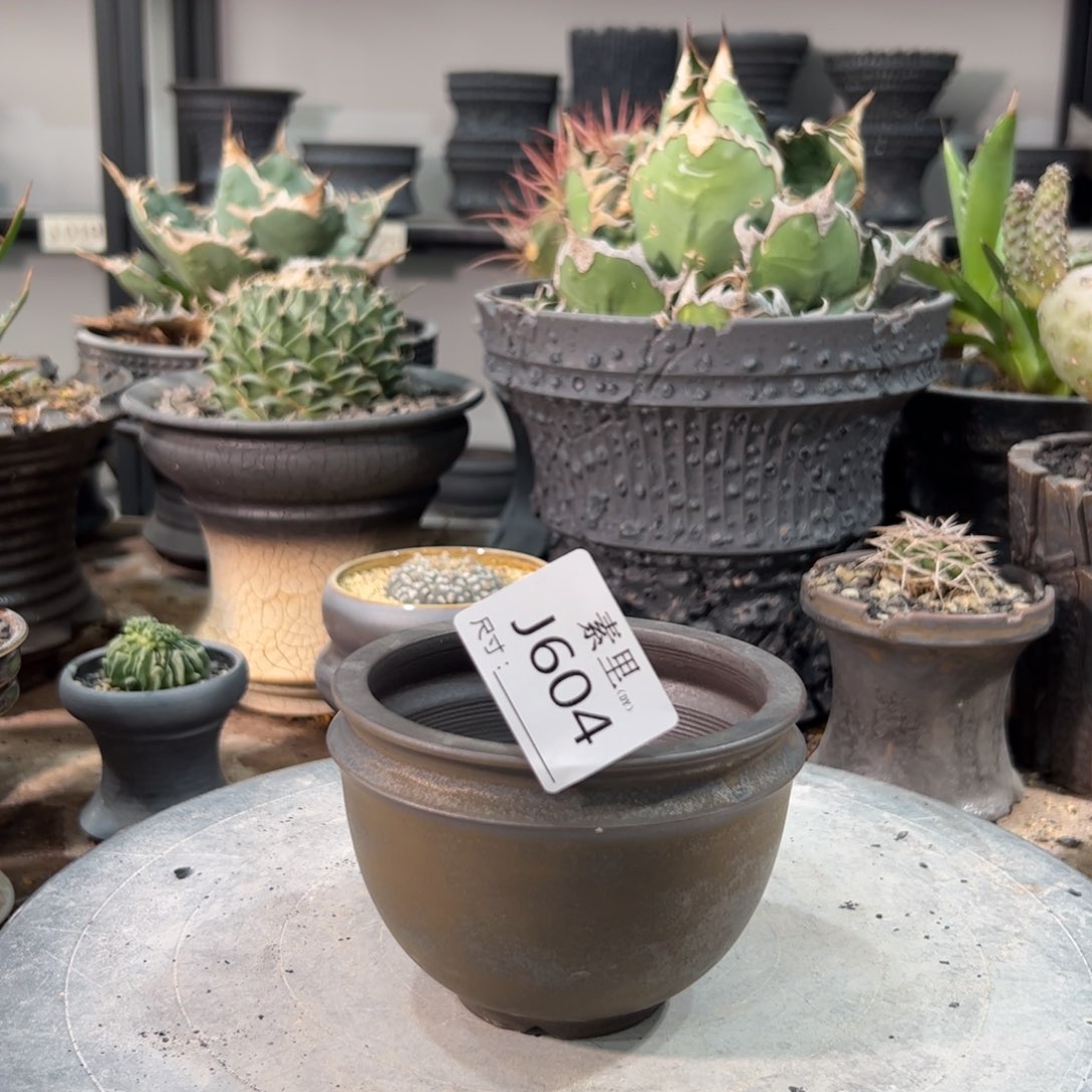 景德镇手工素里内口9高7.5瑕疵