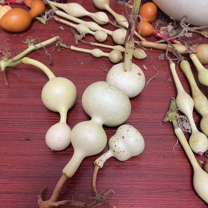 Y***alhcoyxoyxoucoycoycufoufof