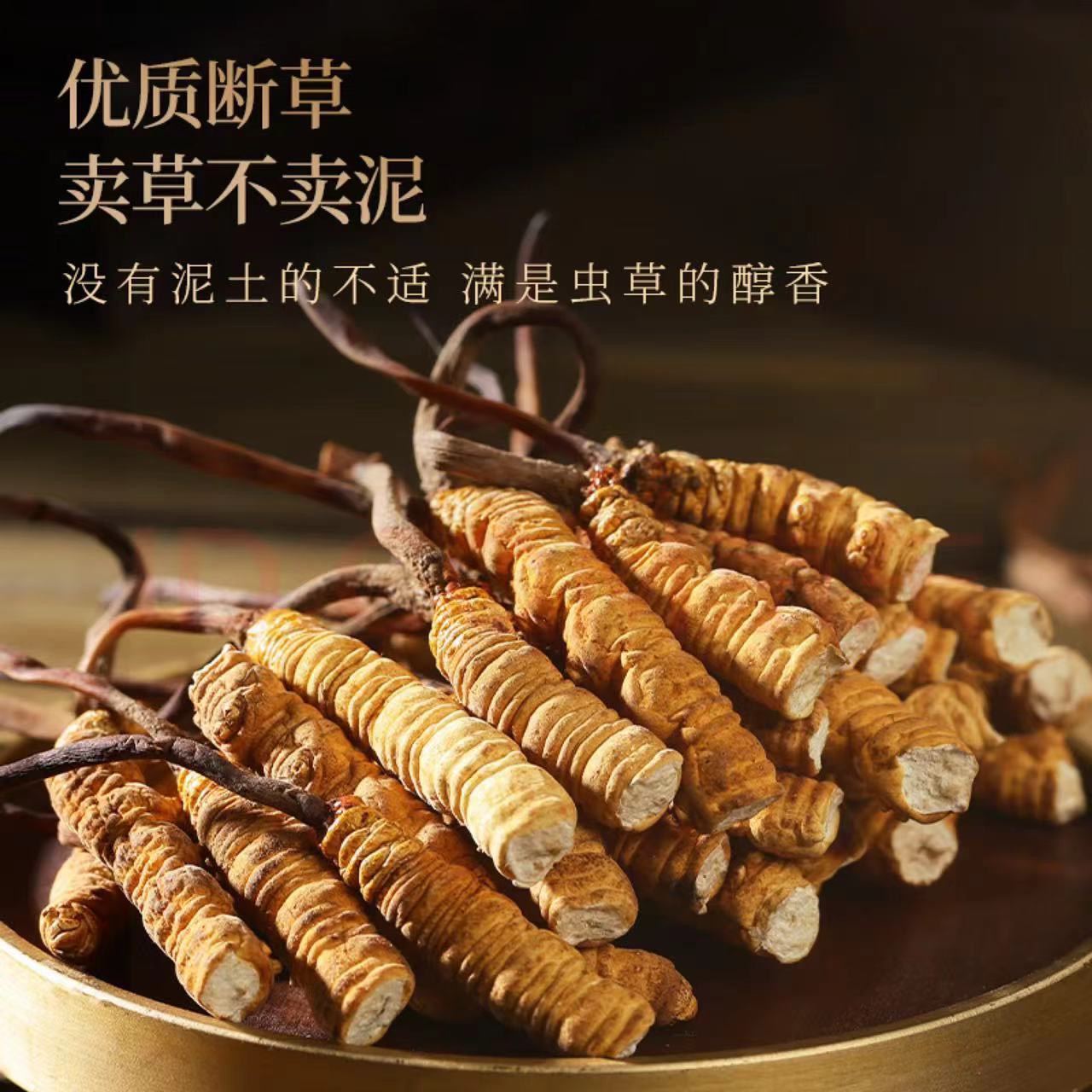 【直播福利】2025年正宗冬虫夏草藏区高海拔大断草高性价比自用滋补