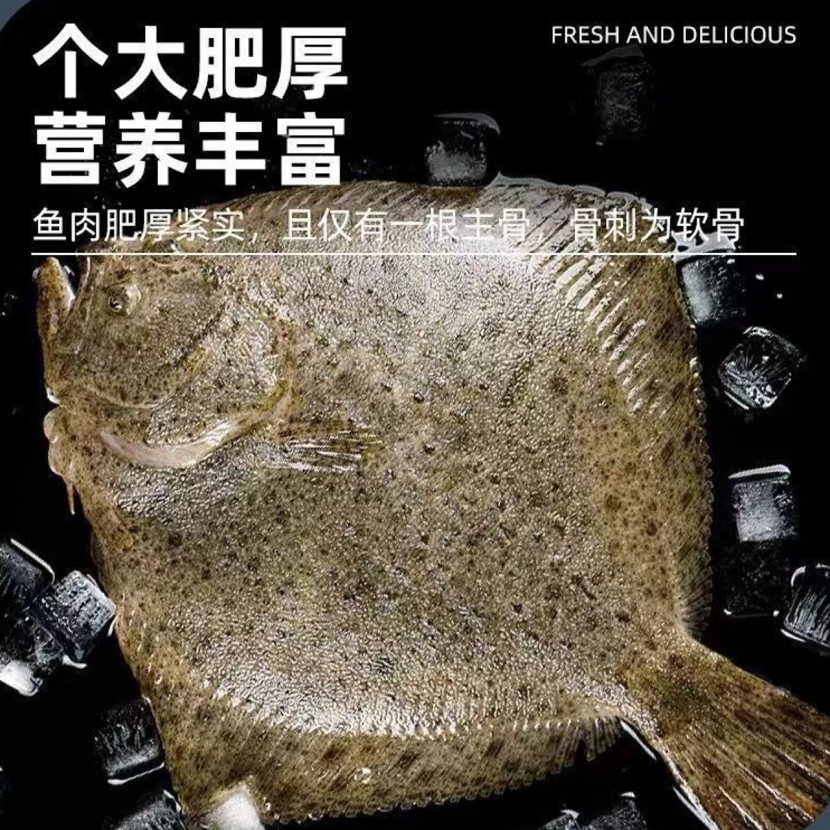 【表嫂家】大号多宝鱼 比目鱼 活鱼速冻 顺丰冷链