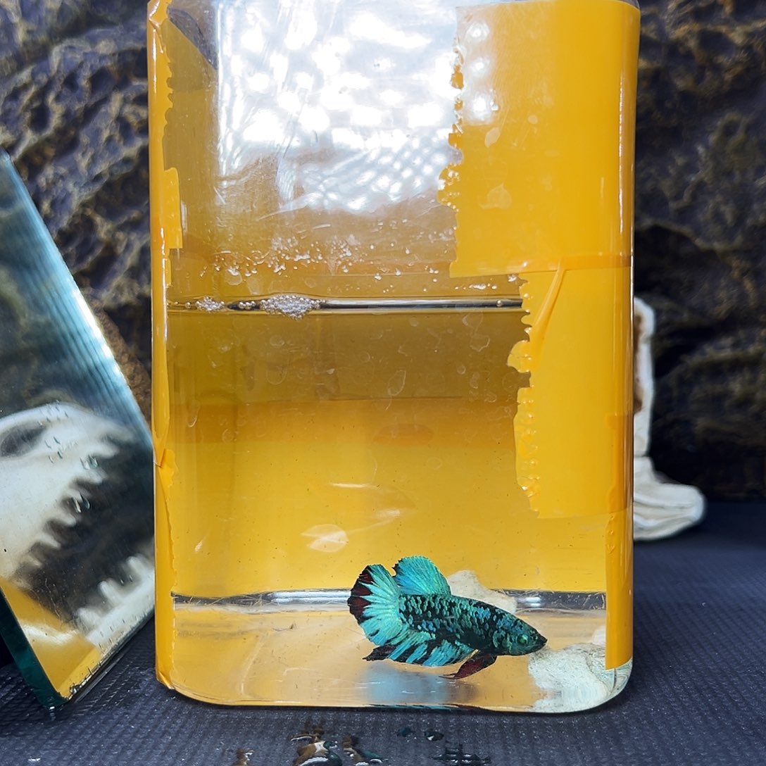 斗鱼精品精品精品精品