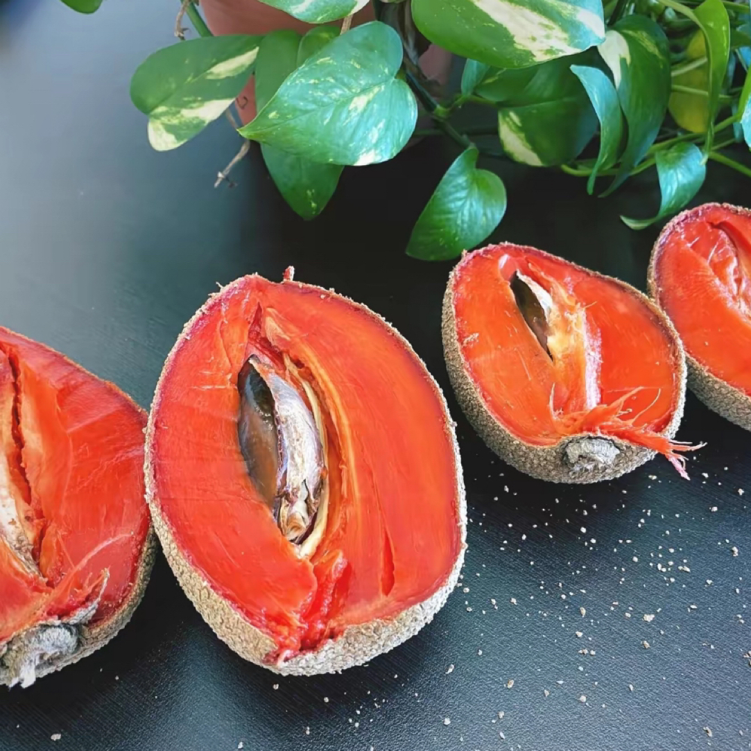 妈咪果靠接（V仔品种）小苗